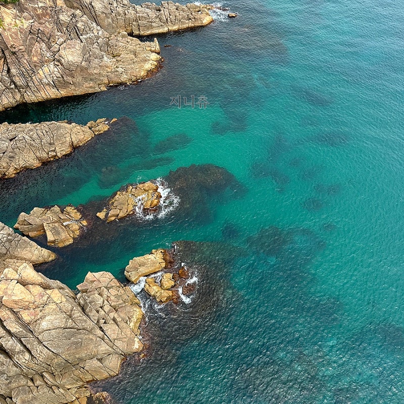 강원도 동해 삼척 가볼만한곳 BEST7 아무도 모르는 스팟 공개