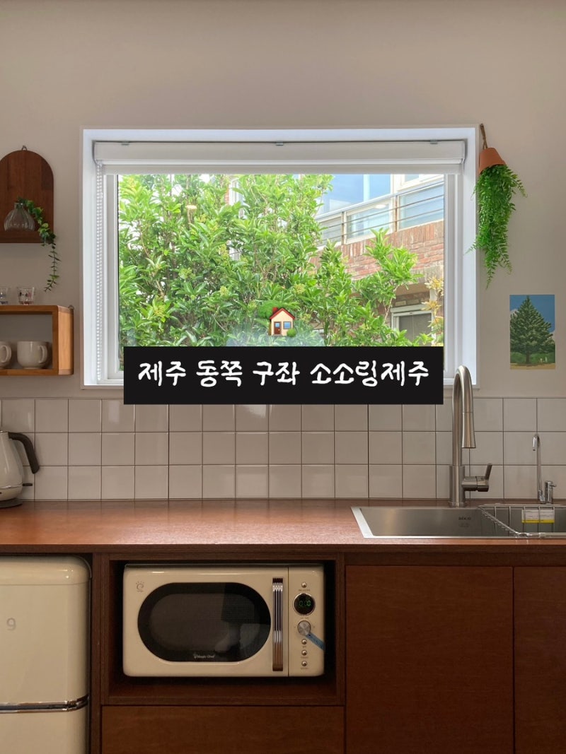 제주 동쪽 구좌 소소링제주 10만 원대 감성 숙소