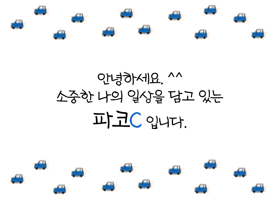 해송 사진 1