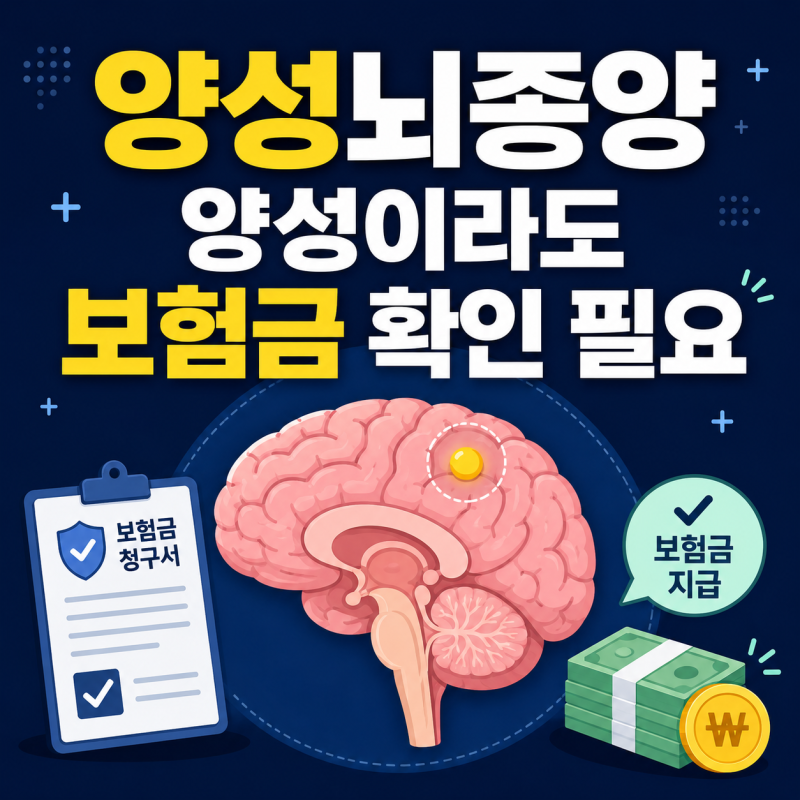 양성뇌종양 보험금, D32 D33 진단비 수술비 실비 청구 기준