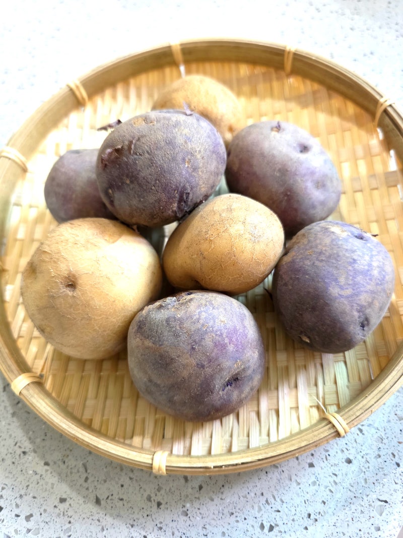 제철 감자[홍감자 효능]홍감자 맛있게 삶는 법/홍감자 껍질째 찌는 법