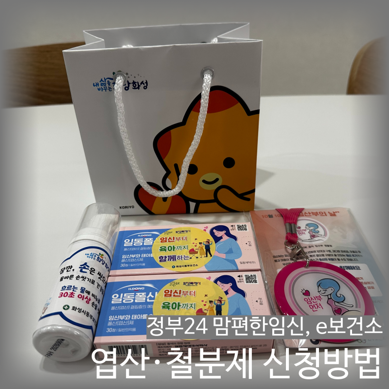 [임신관련] e보건소 철분·엽산 신청방법 및 화성시 출산 지원금