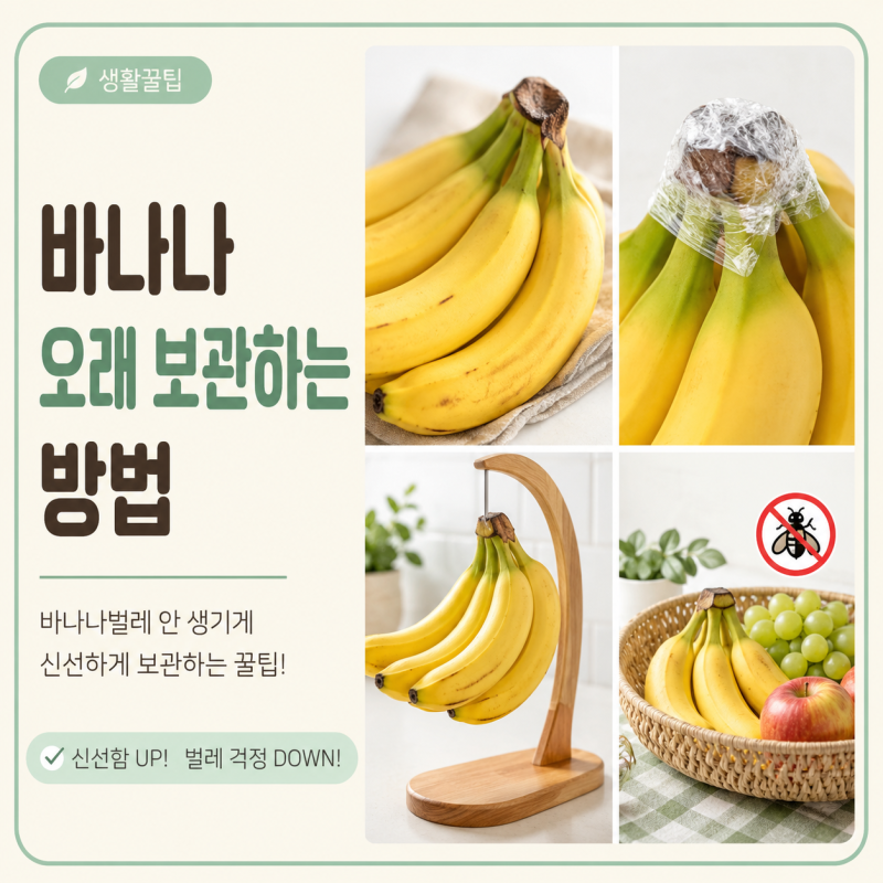 바나나 오래 보관하는 방법! 바나나벌레 안 생기게 보관하는 꿀팁