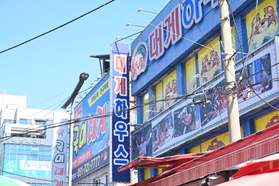 기장대게 사진 2