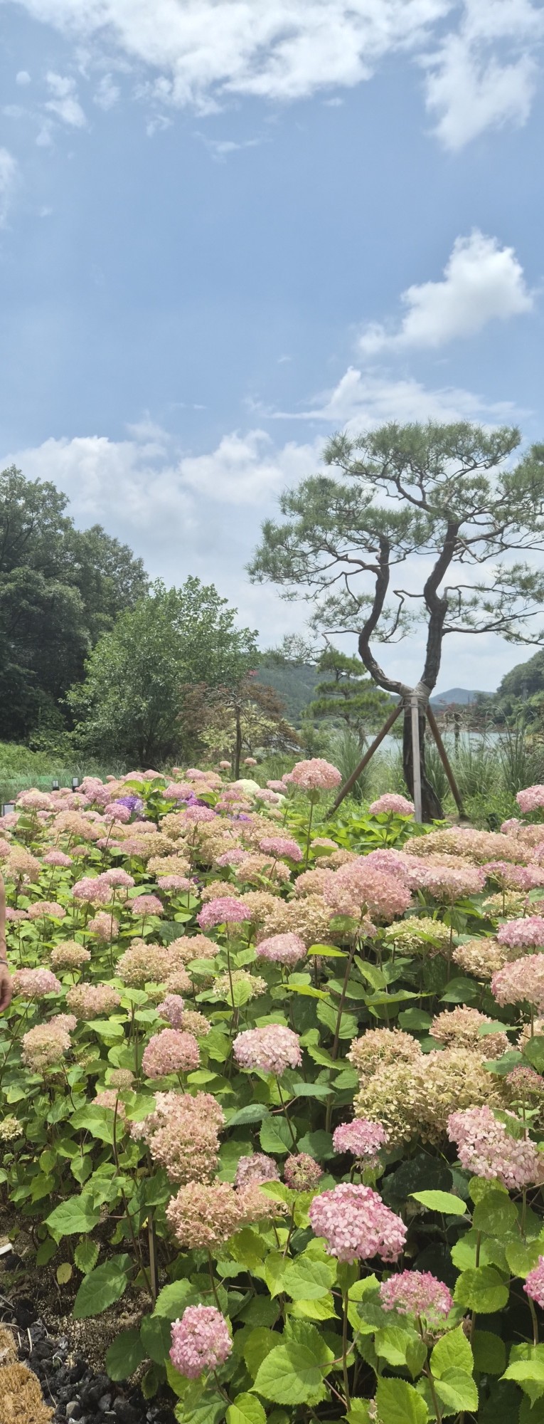 토담 사진 2