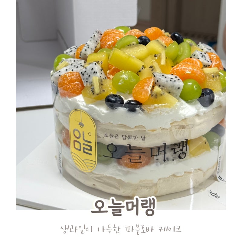 전주 디저트 만성동 수제케이크 과일이 잔뜩 올라간 파블로바 오늘머랭 카페