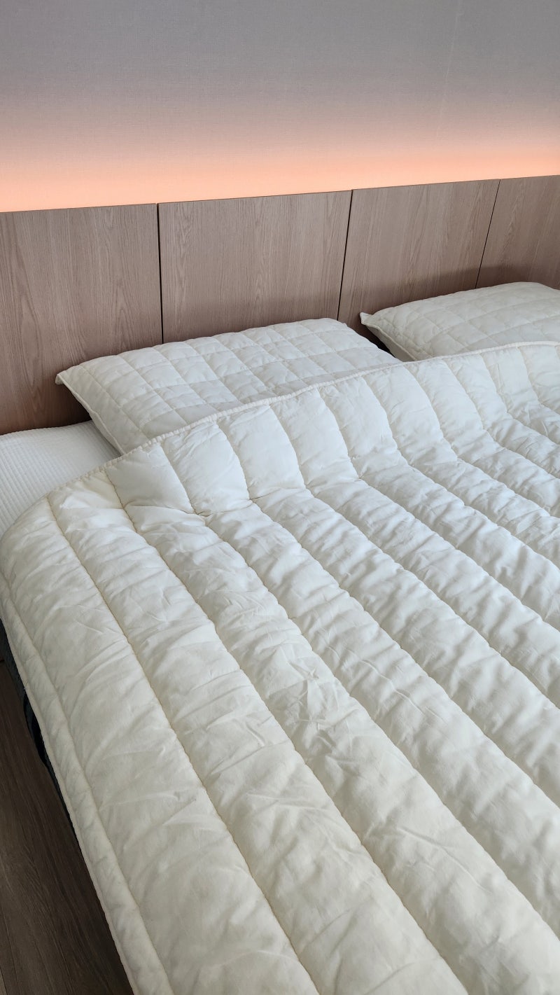 신혼침구 한 달 고민 끝에 고른 모제무드 이불·순면패드·베개커버 후기