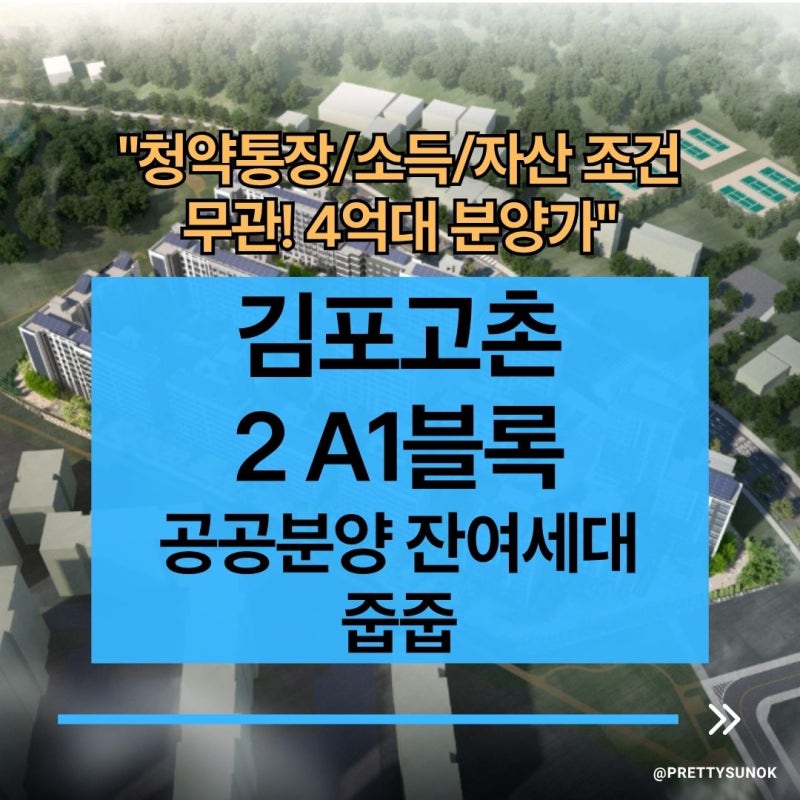 김포 고촌 아파트 줍줍! 김포고촌2 A1블록 공공분양 무순위 청약 조건 분양가