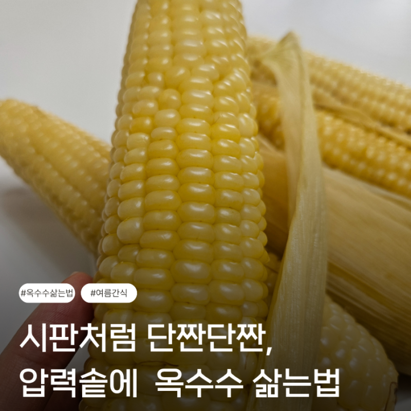압력솥으로 단짠단짠 옥수수삶기