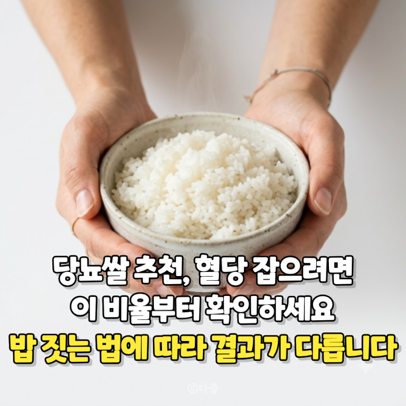 당뇨쌀 추천, 혈당 잡으려면 이 비율부터 확인하세요