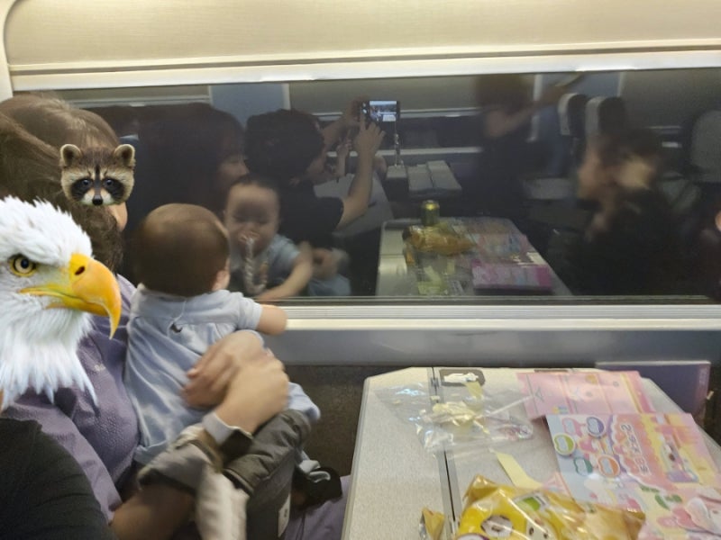 KTX 승차권변경은 절대 안되는 예매권이 있었다니