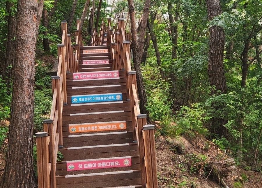 병곡산장 사진 6