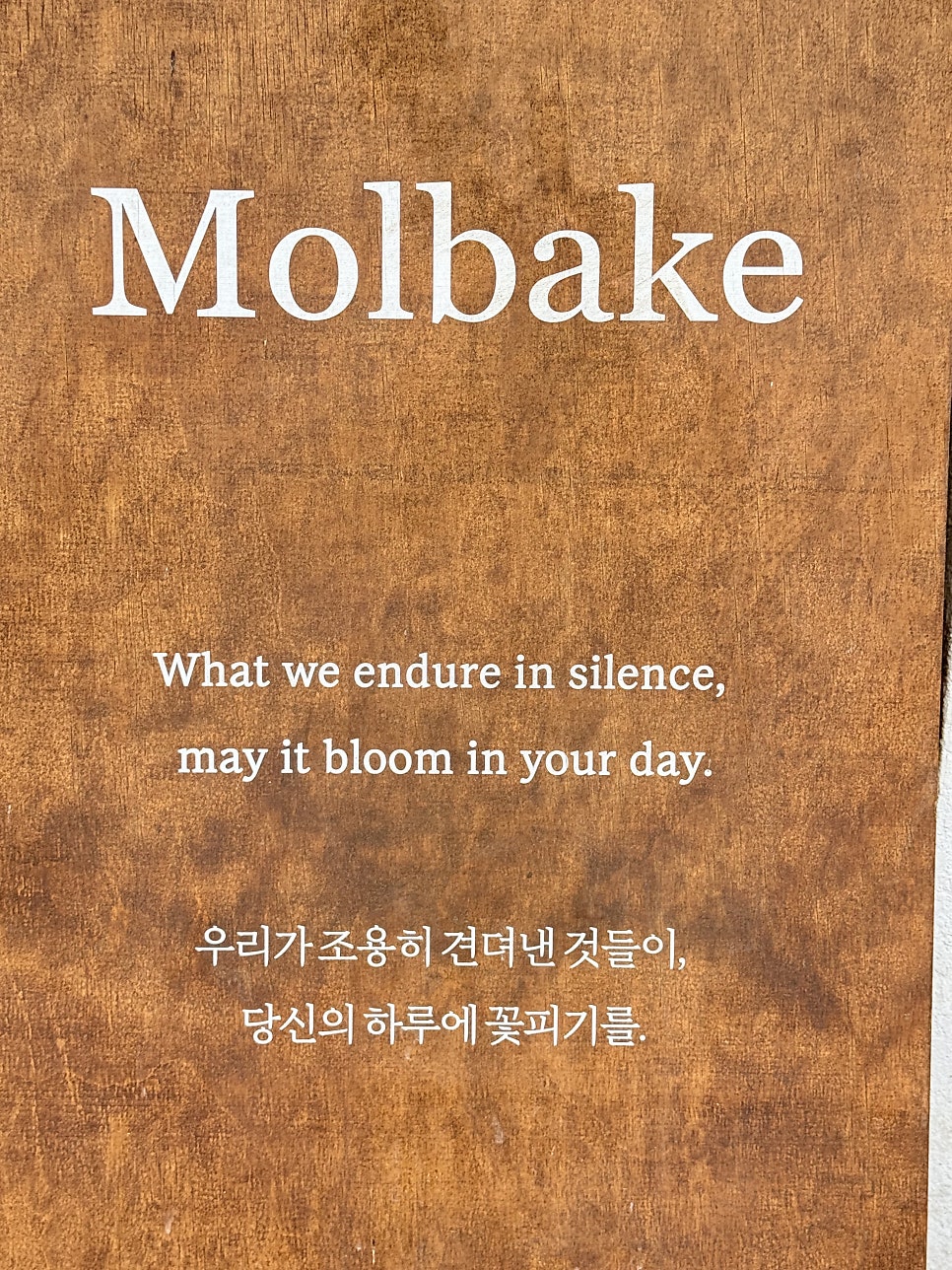 몰베이크 사진 4