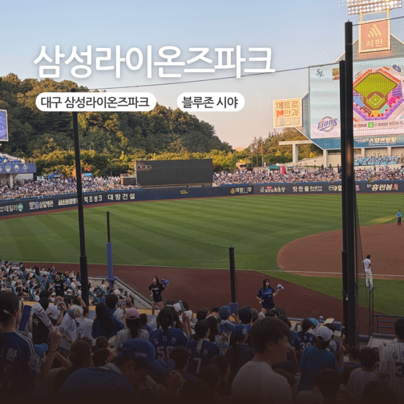 삼성라이온즈파크 블루존 좌석 3-2 구역 가격 시야 응원석 후기