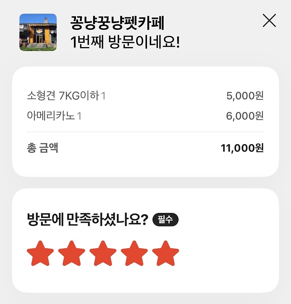 꽁냥꿍냥펫카페 사진 3