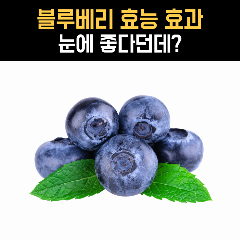 블루베리 효능, 눈 건강부터 혈관·장까지 어디에 좋을까요?