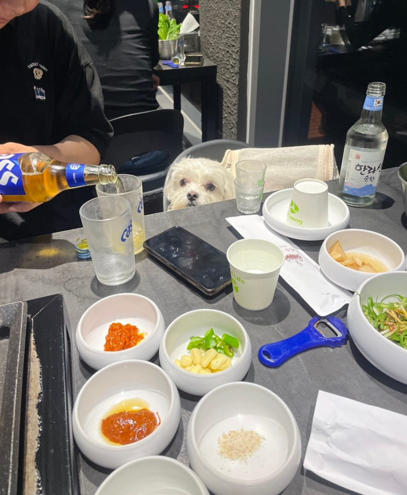 제주 애월 애견 동반 식당 정도 애월 흑돼지 본점 펫 프렌들리 식당 후기