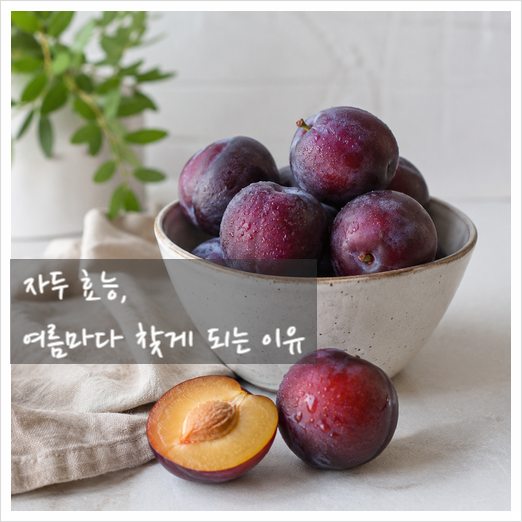 자두 효능, 여름마다 찾게 되는 이유