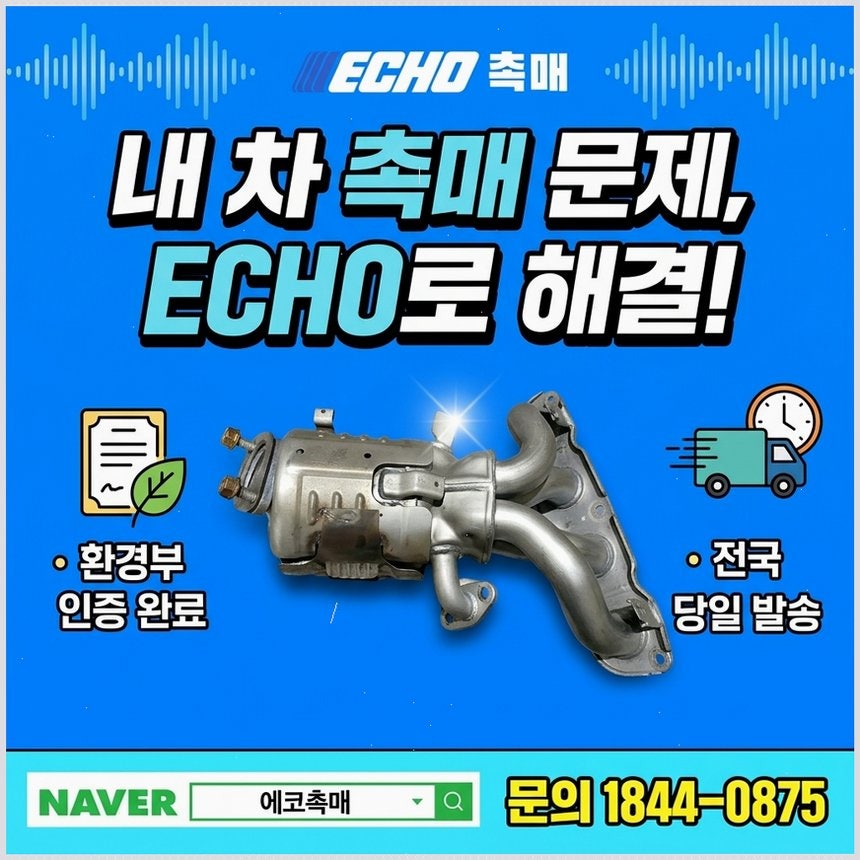 에세이 사진 5