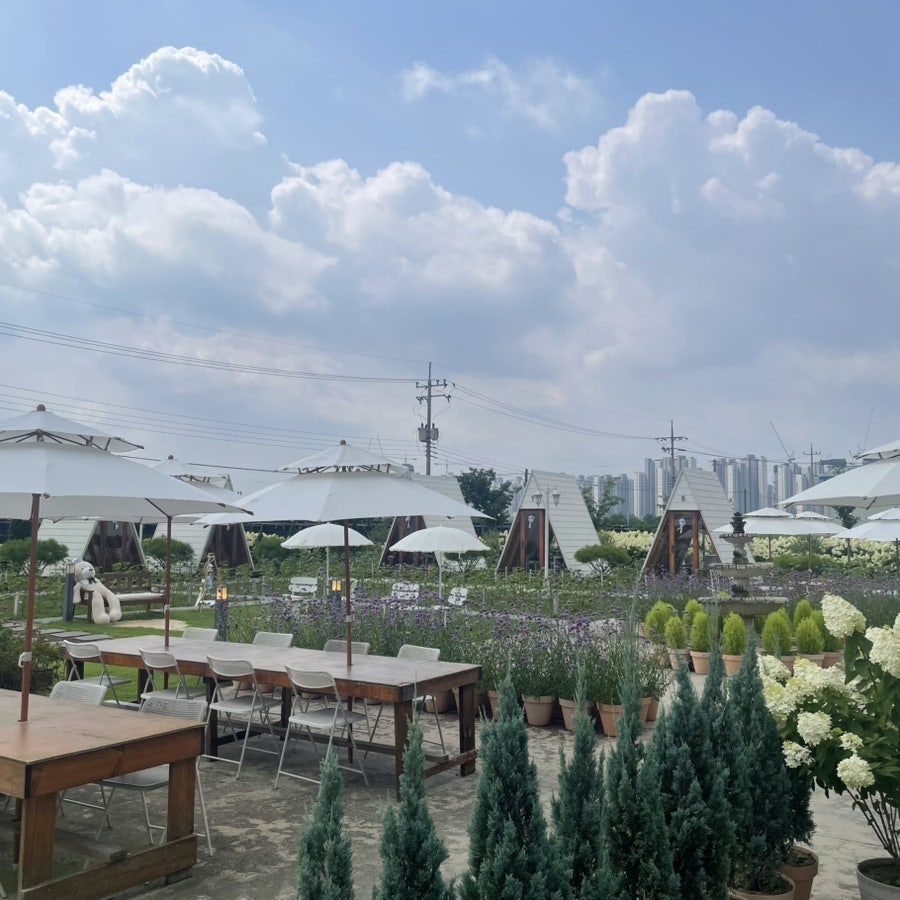 토성마을 사진 6