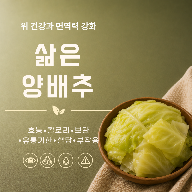 삶은양배추 효능 7가지 칼로리 보관 유통기한 혈당 부작용