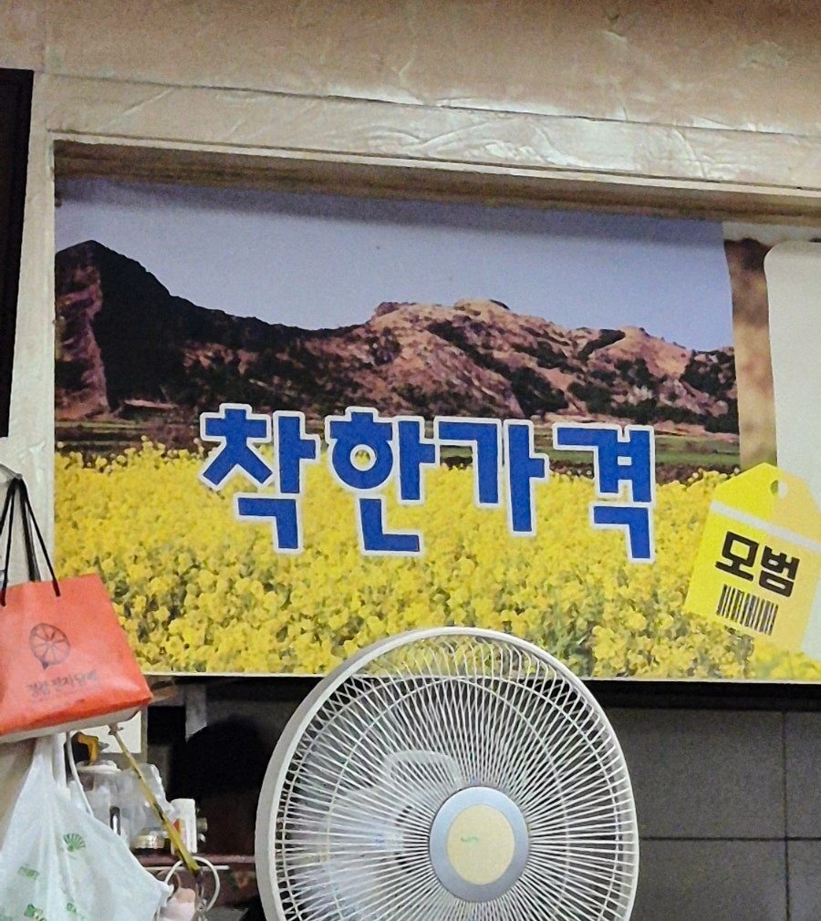 다랑시 사진 5