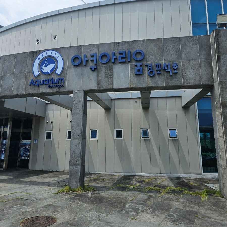 경포아쿠아리움 사진 1
