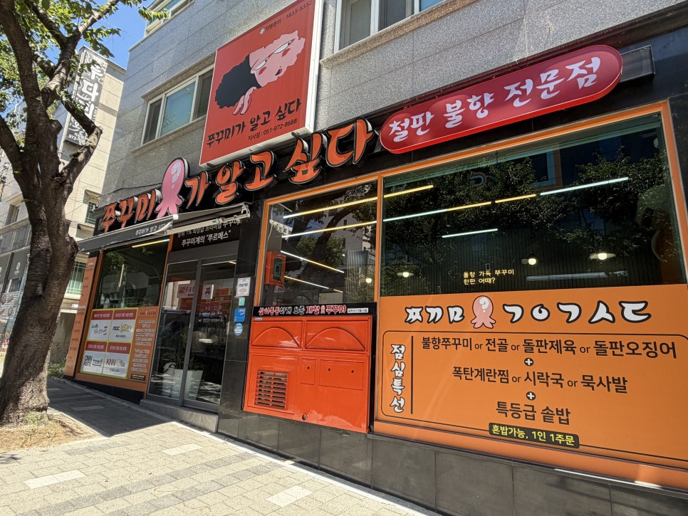 쭈꾸미가알고싶다 사진 1