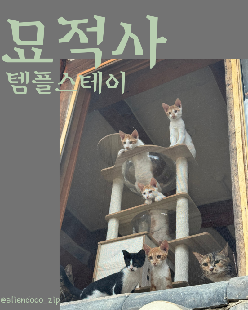 [Namyangju Temple Stay] Myojeoksa Temple Stay Review! (What to Bring/Itinerary/Near Seoul)