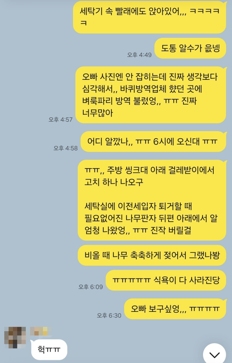 세스코 마이랩 배수구클리너, 벼룩파리 초파리 알까지 박멸하는 배수구 클리너, 솔직 후기 (f....