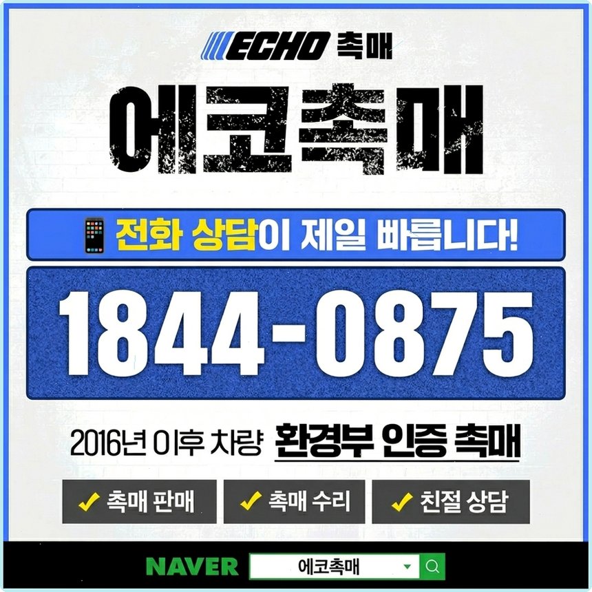 에세이 사진 1