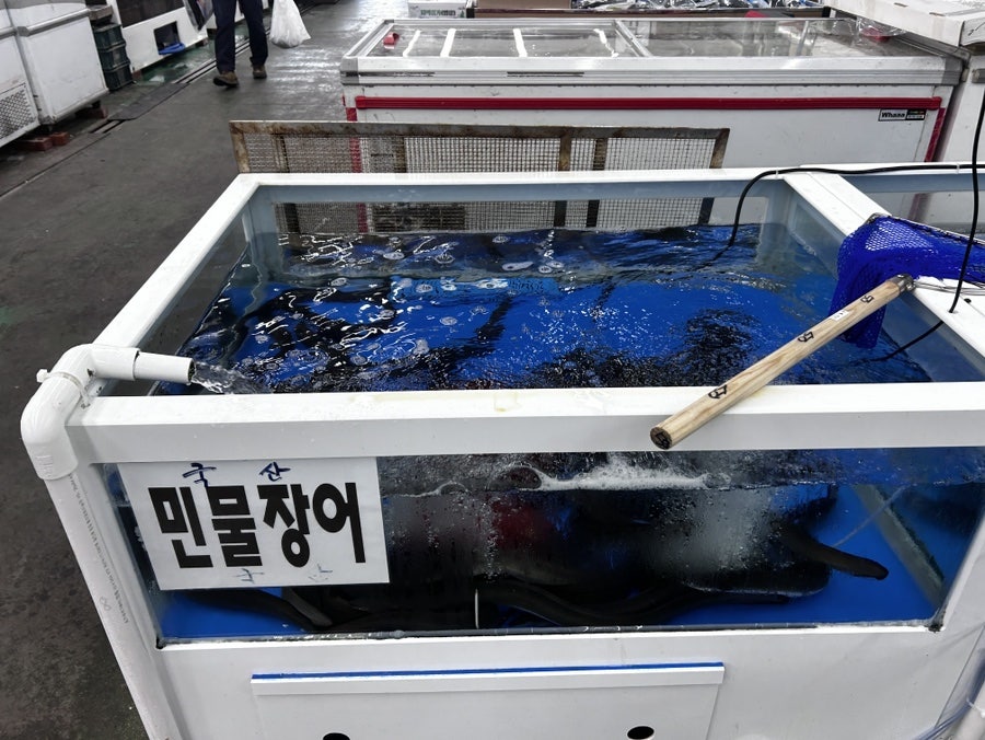 수산시장 사진 6