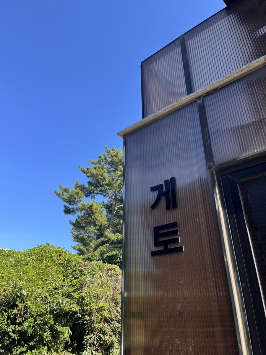 제주게토게스트하우스파티 사진 1
