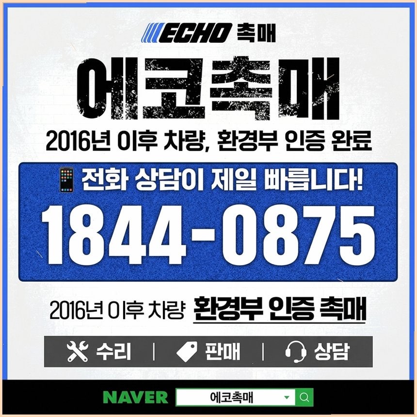에세이 사진 4