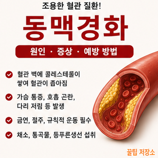 동맥경화 뜻, 발생 원인 및 증상, 생활습관 개선 방법