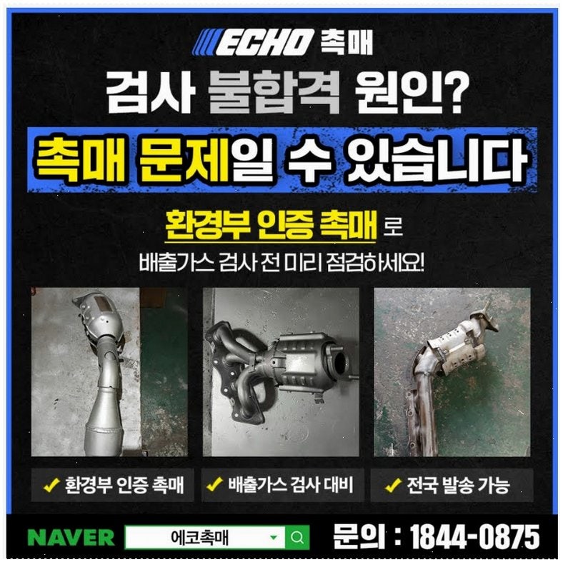 에세이 사진 3