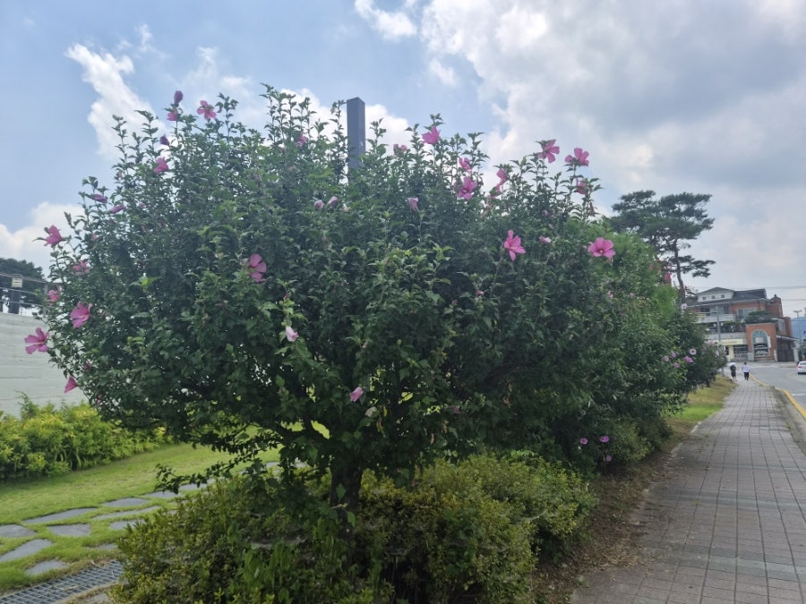 홍주성역사관 사진 3