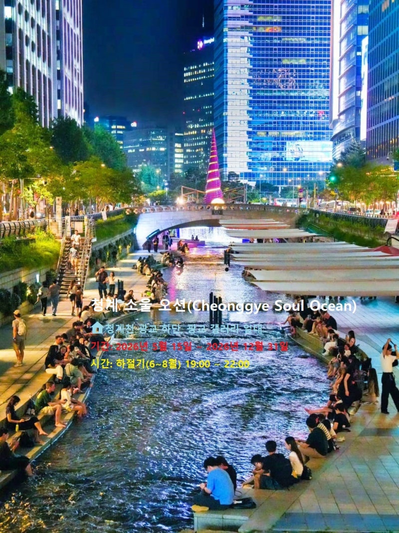 2026 청계천 청계 소울 오션 서울 야경 명소 여름 데이트 장소 추천