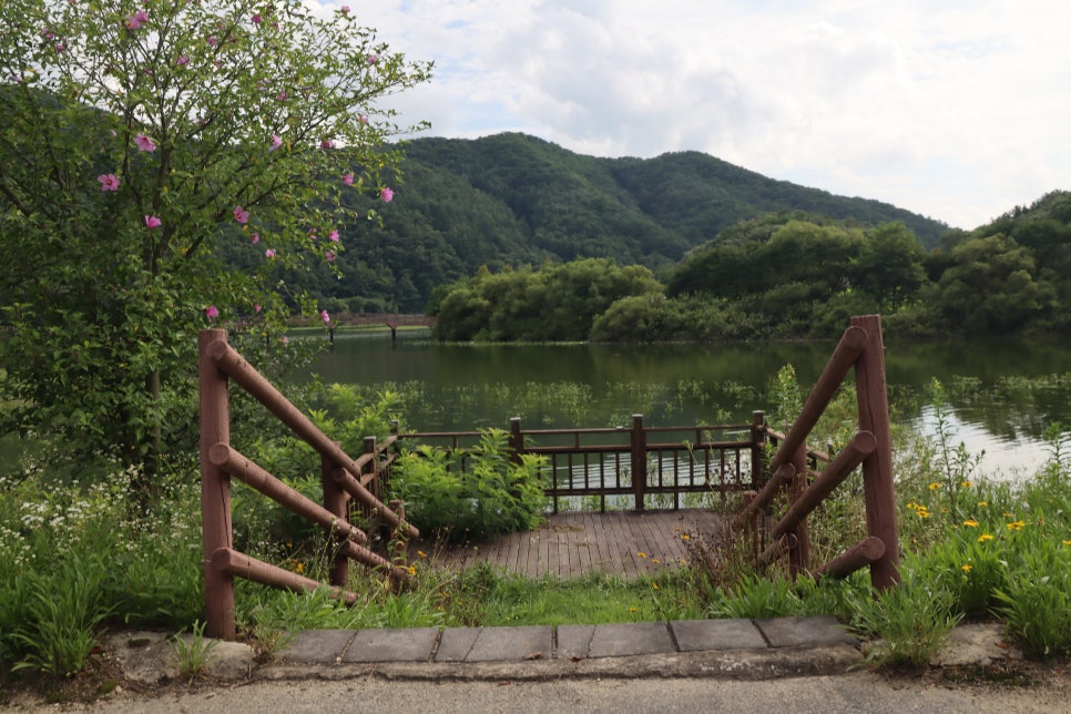 원남테마공원캠핑장 사진 4