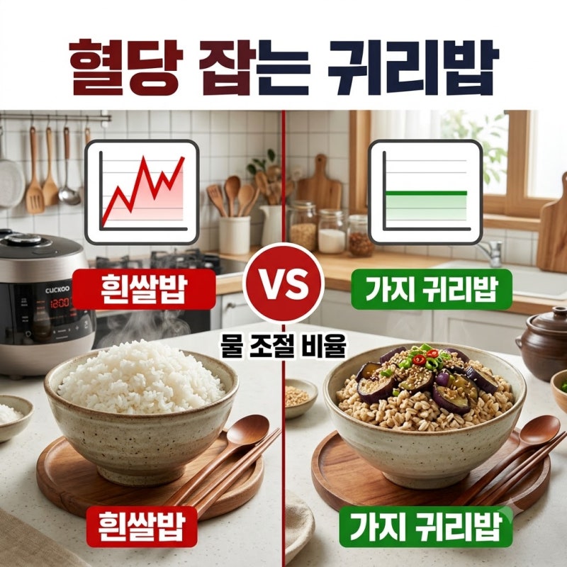 가지 귀리밥 식후 혈당 잡는 황금 물 조절 비율 공개