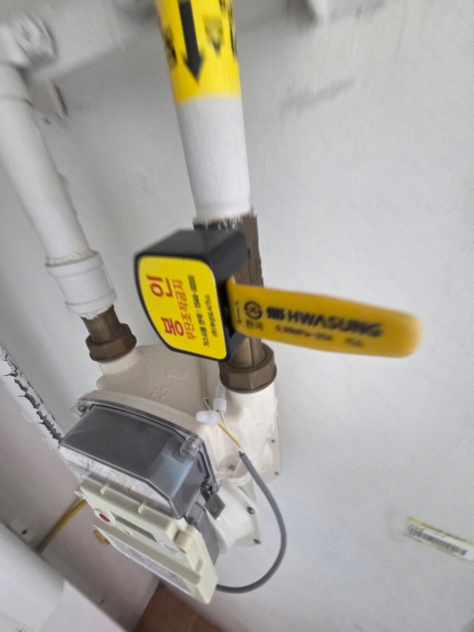 부영 사진 6
