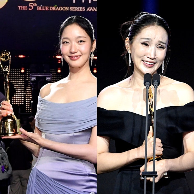 제5회 청룡시리즈어워즈 수상결과 <b>대상</b> <b>김고은</b>, 박보경 눈물의... 
