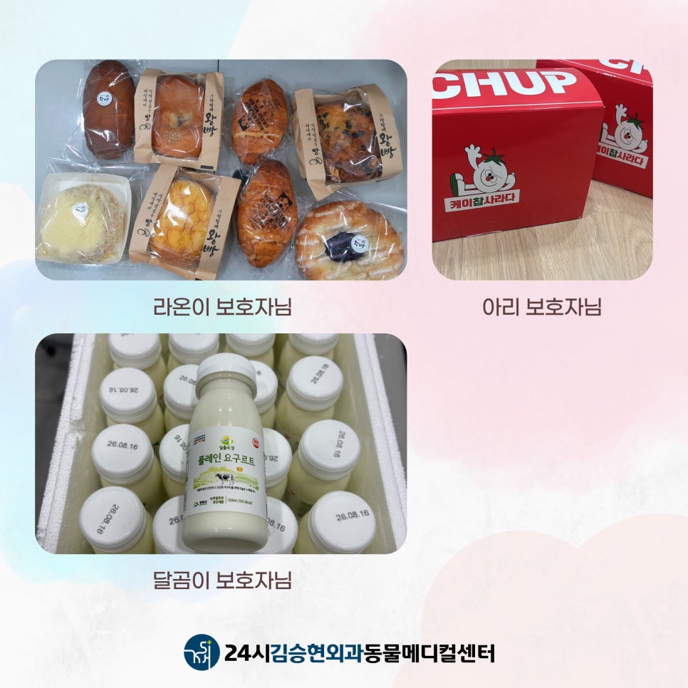 24시김승현외과동물메디컬센터 사진 6