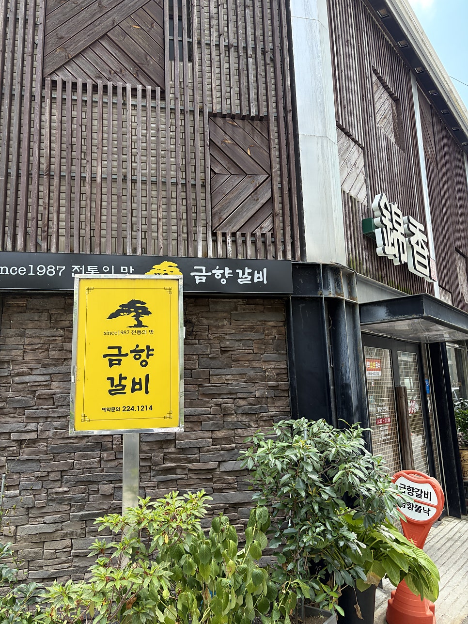 금향 사진 2