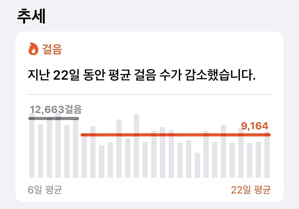 꽁냥꿍냥펫카페 사진 4