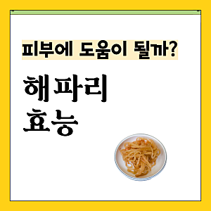 해파리 콜라겐, 피부에 도움이 될까? 해파리 효능 해파리냉채 칼로리