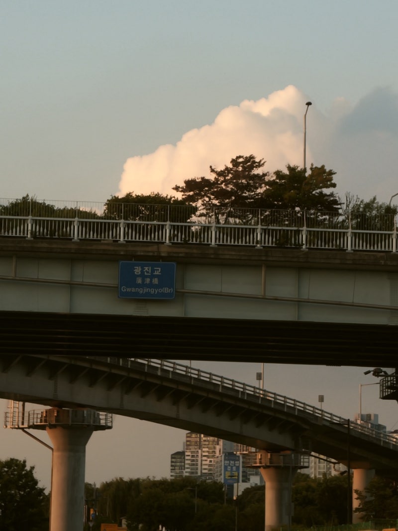 파나소닉 루믹스 L10을 사다