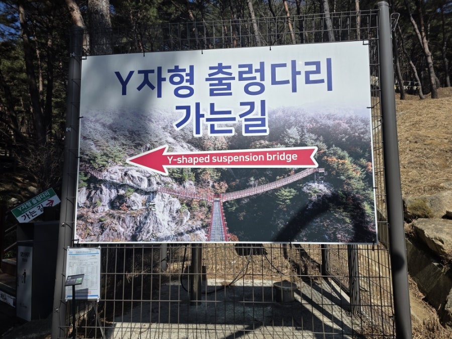 거창항노화힐링랜드 사진 5