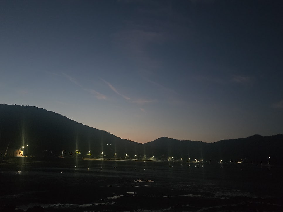 콩밭에 사진 1