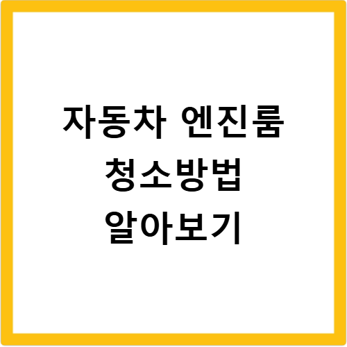 자동차 엔진룸 안전하게 청소하는방법과 전문가 청소비용